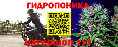 спиды Гагарин