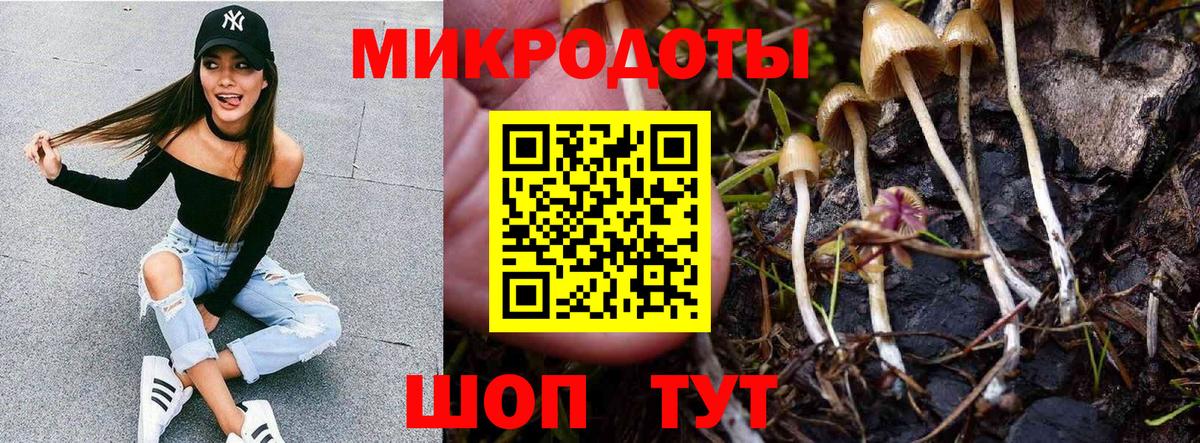 Моздок  Псилоцибиновые грибы Cubensis  Вход с VPN  где найти наркотики  Галлюциногенные грибы Cubensis 